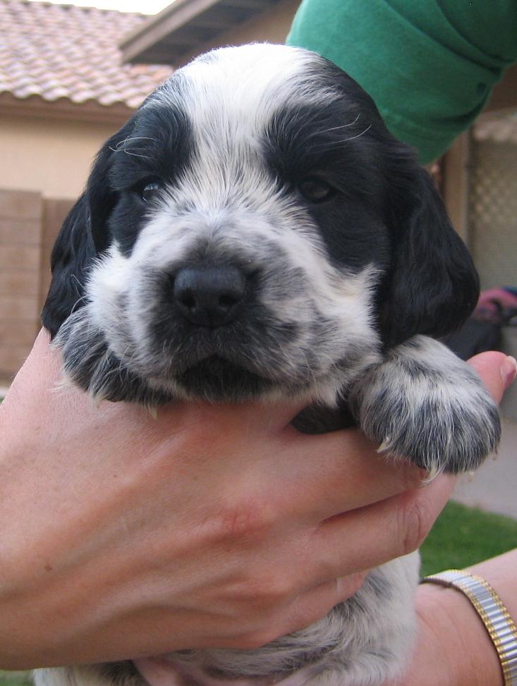 Female B at 4 weeks